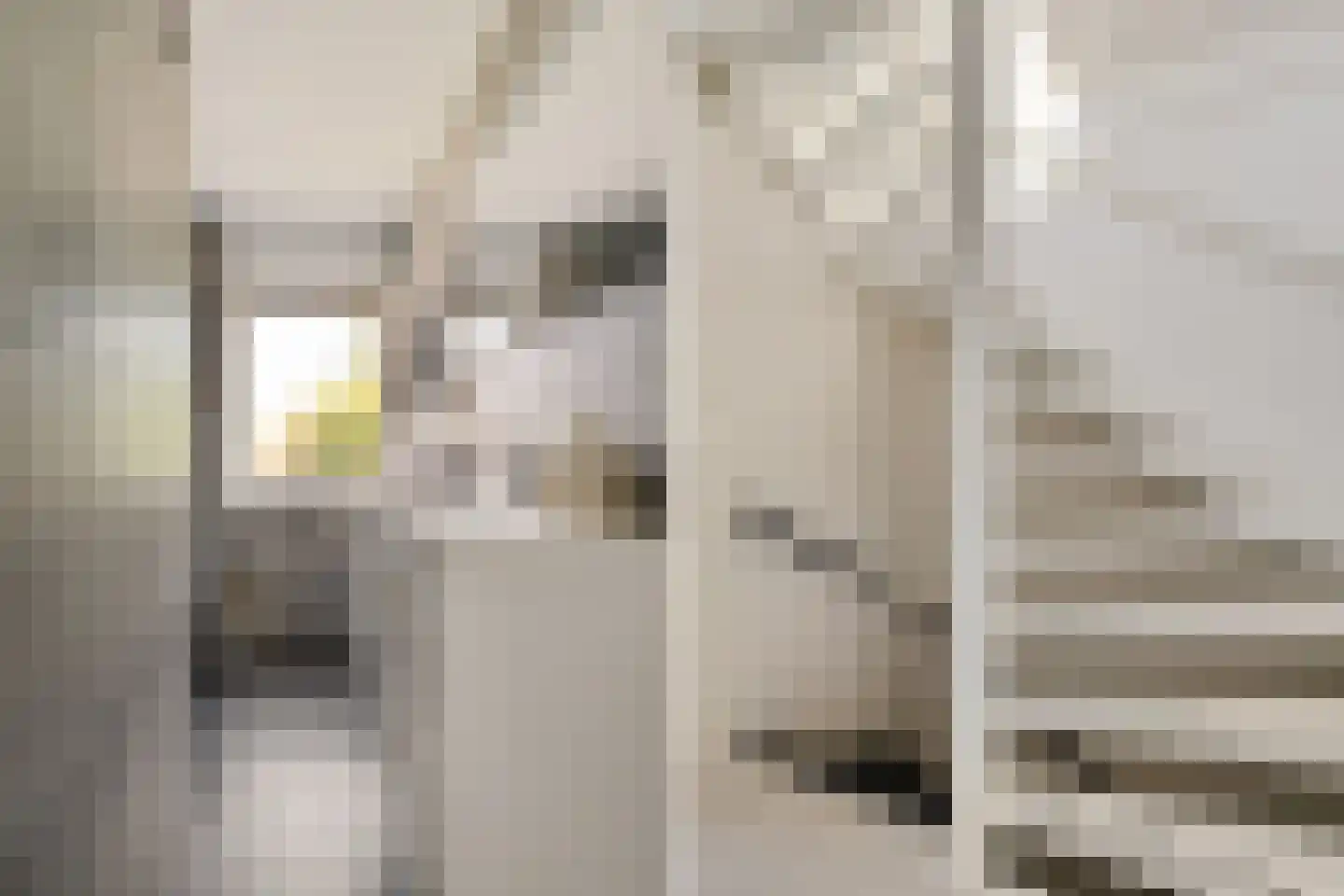 Túnkerij 5 Joure thumbnail 23