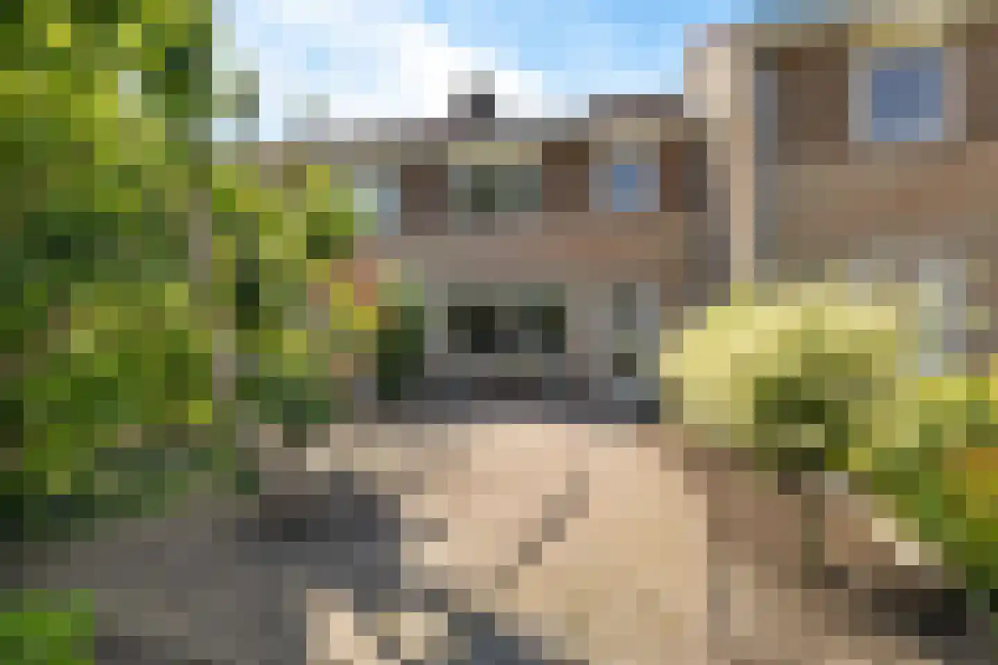 Túnkerij 5 Joure thumbnail 25