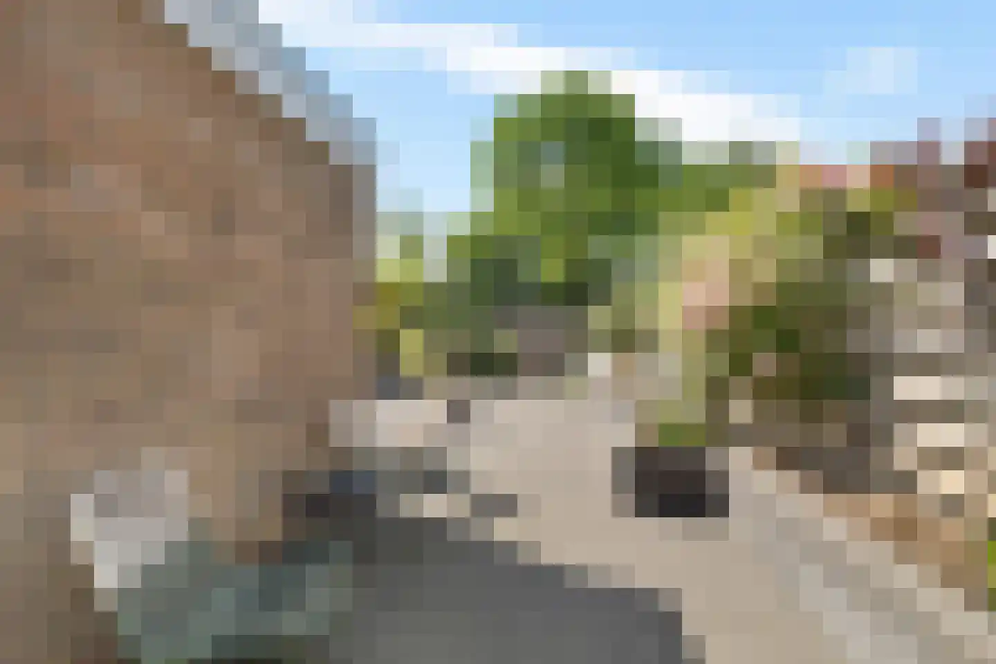 Túnkerij 5 Joure thumbnail 27