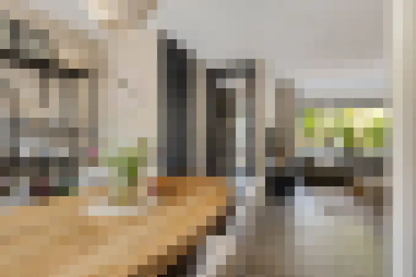 Túnkerij 5 Joure thumbnail 9