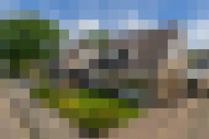 Túnkersstrjitte 54 Koudum