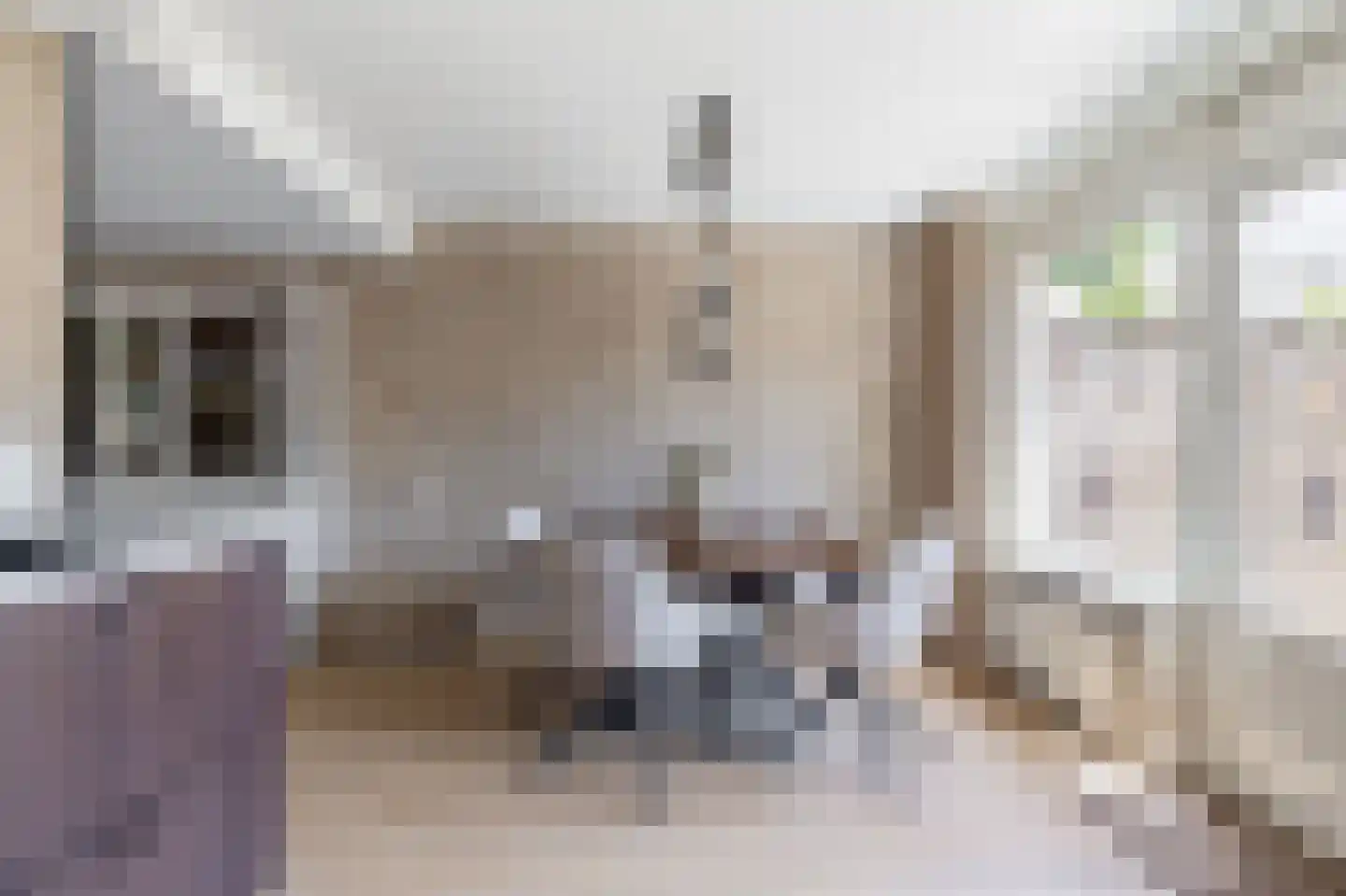 Túnkersstrjitte 54 Koudum thumbnail 11