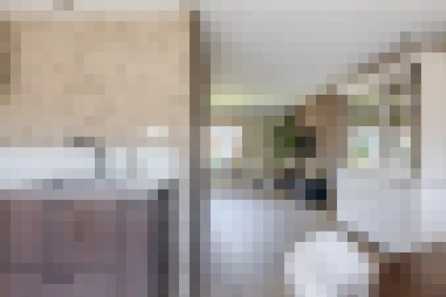 Túnkersstrjitte 54 Koudum thumbnail 13