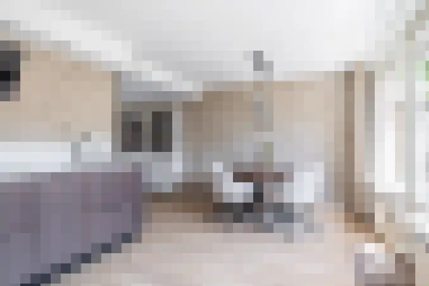 Túnkersstrjitte 54 Koudum thumbnail 14