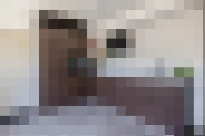 Túnkersstrjitte 54 Koudum thumbnail 15