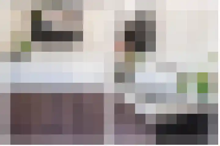 Túnkersstrjitte 54 Koudum thumbnail 16