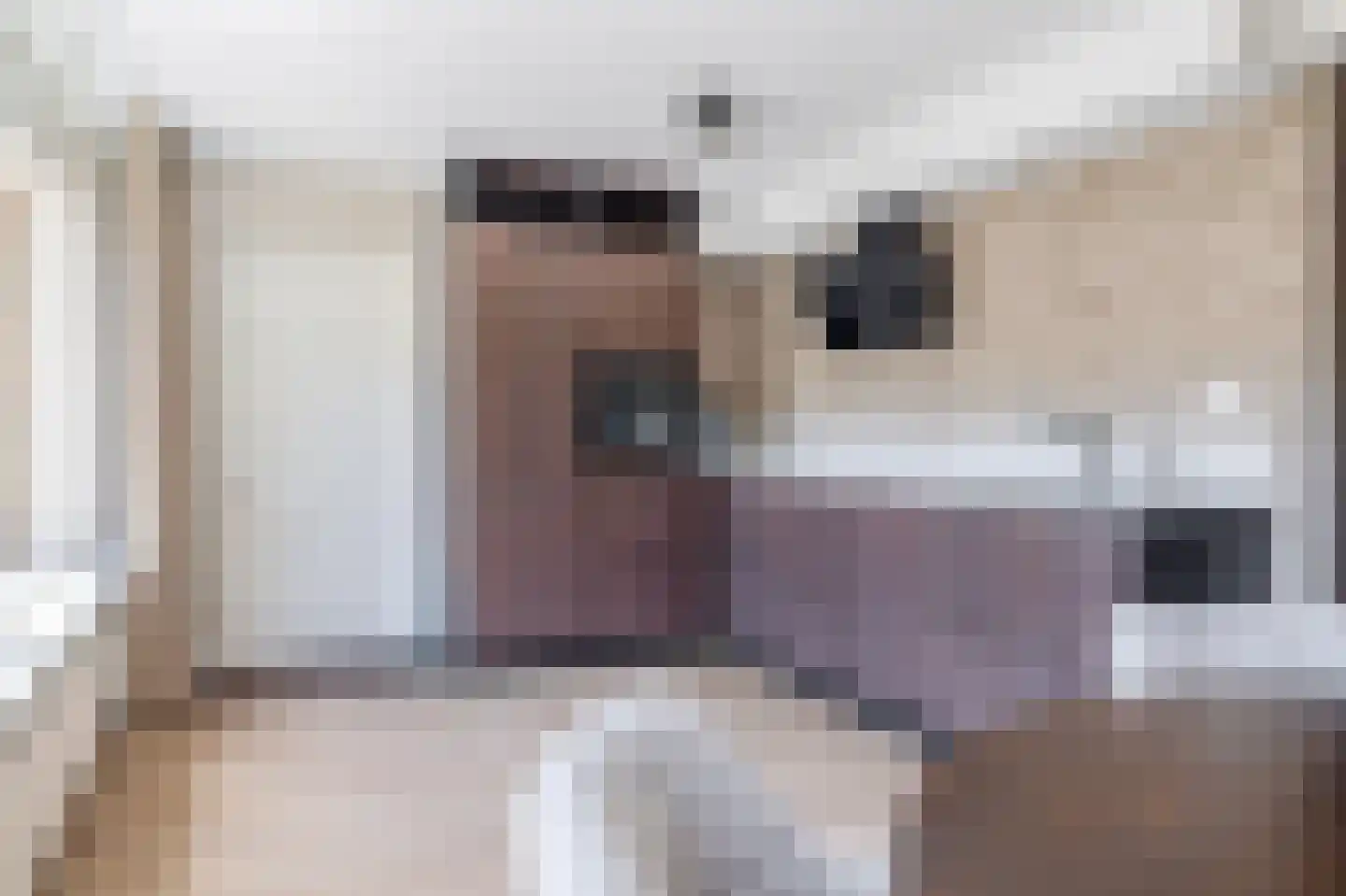 Túnkersstrjitte 54 Koudum thumbnail 18