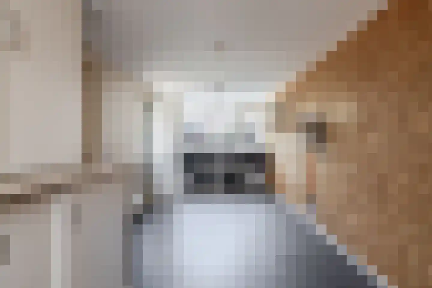 Túnkersstrjitte 54 Koudum thumbnail 19