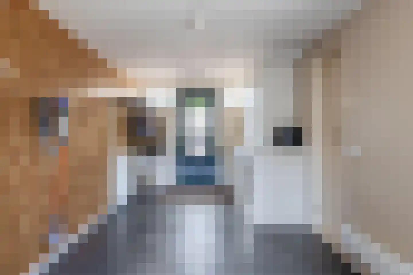 Túnkersstrjitte 54 Koudum thumbnail 20