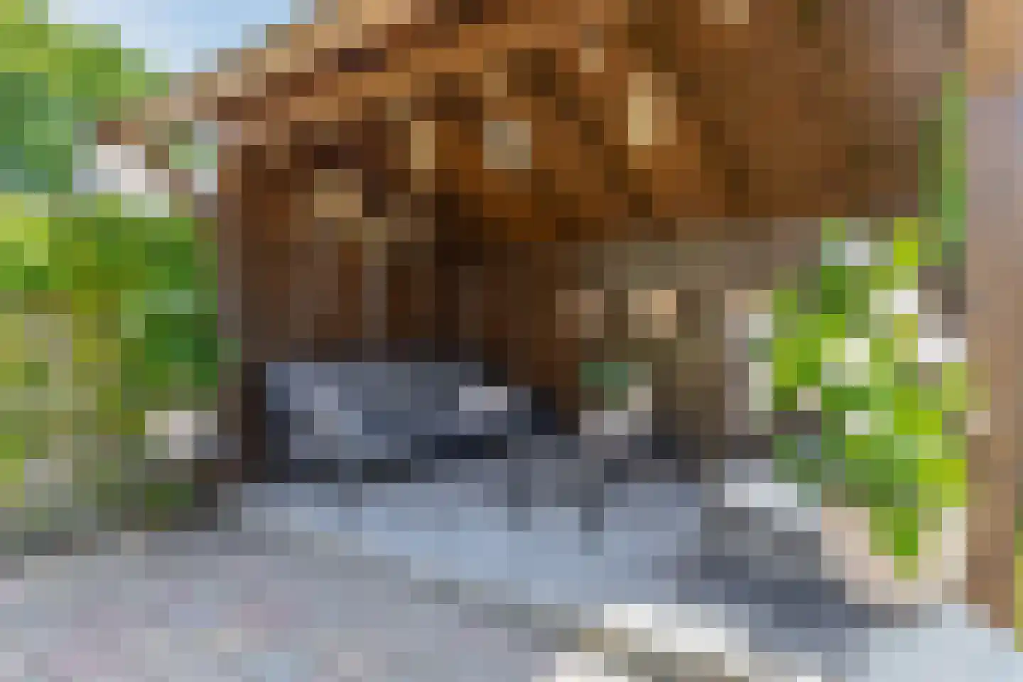 Túnkersstrjitte 54 Koudum thumbnail 25