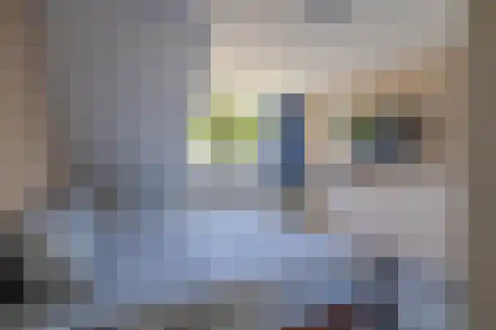 Túnkersstrjitte 54 Koudum thumbnail 29