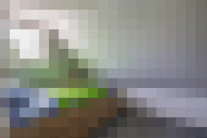 Túnkersstrjitte 54 Koudum thumbnail 33