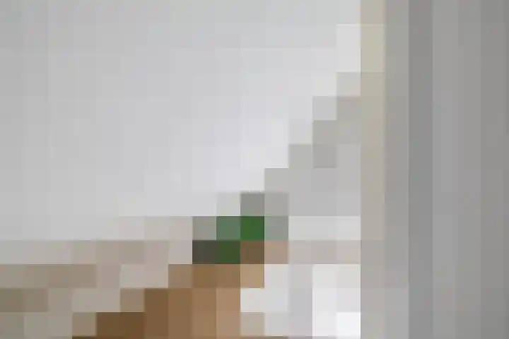 Túnkersstrjitte 54 Koudum thumbnail 34
