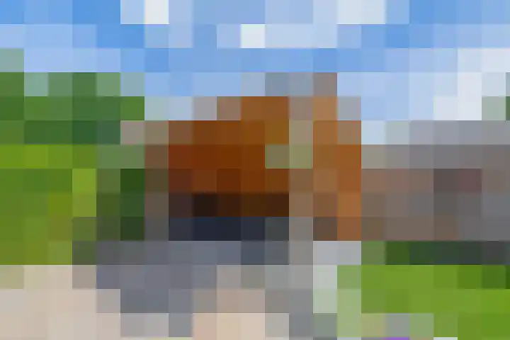 Túnkersstrjitte 54 Koudum thumbnail 38
