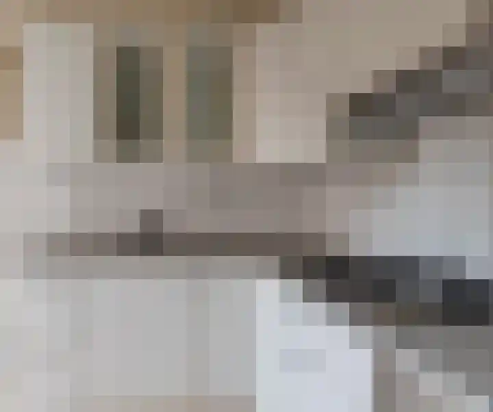 Tunneloven 34 Wijk bij Duurstede thumbnail 14