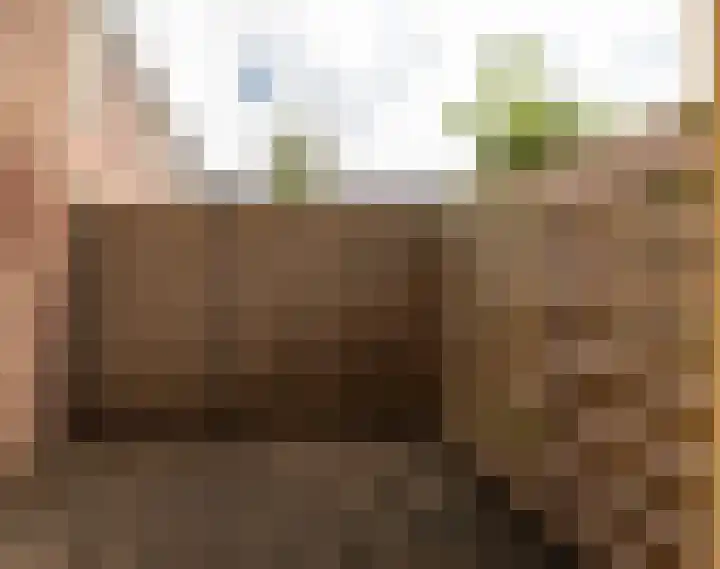 Tunneloven 34 Wijk bij Duurstede thumbnail 20