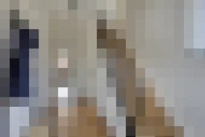 Tunnelstraat 22 Susteren thumbnail 5
