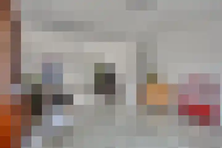 Tunnelstraat 22 Susteren thumbnail 9
