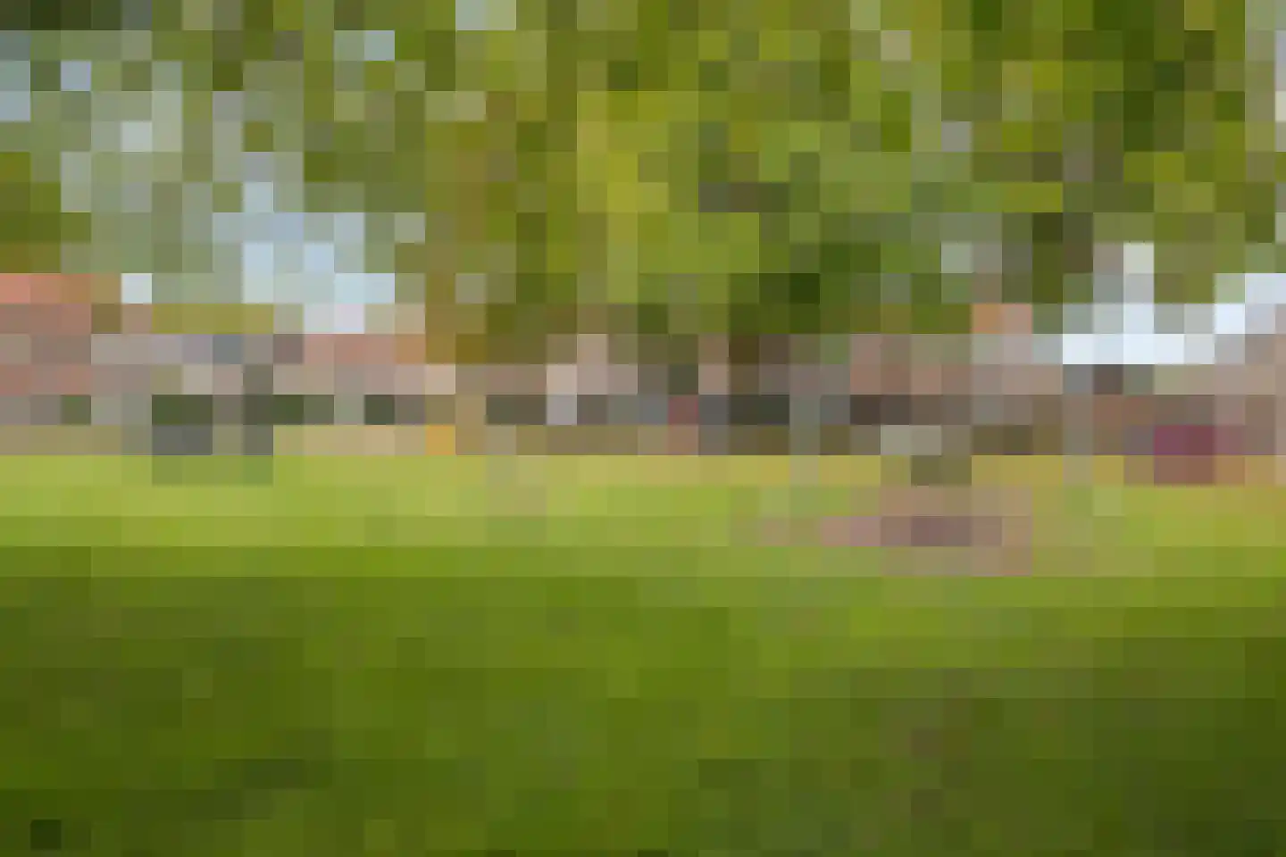 Tunnelweg 124 Wijchen thumbnail 26