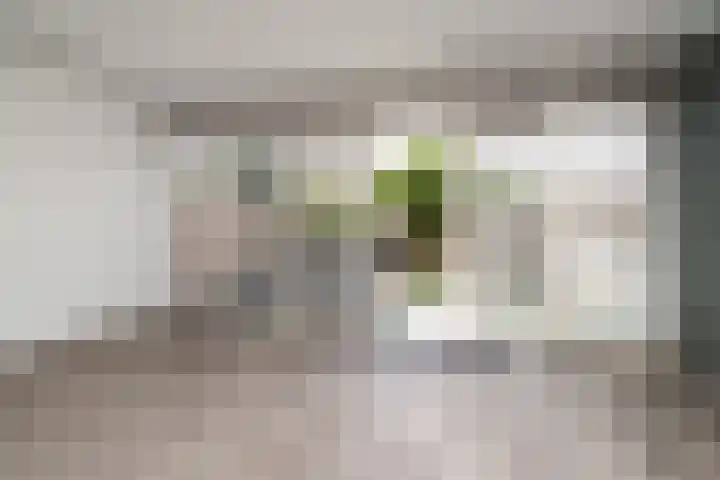 Tunnelweg 140 Wijchen thumbnail 15