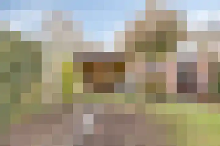 Tunnelweg 140 Wijchen thumbnail 28
