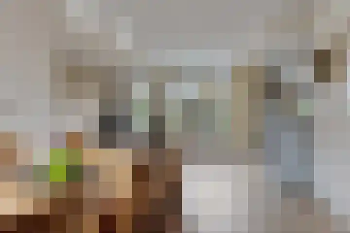 Tunnelweg 140 Wijchen thumbnail 8
