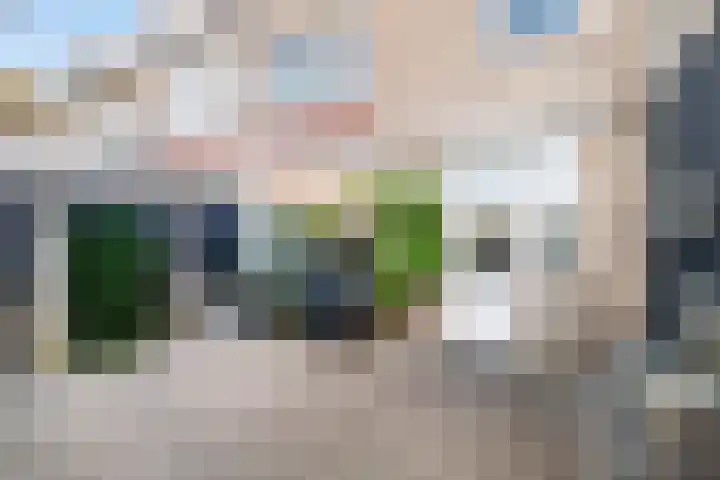 Tunnelweg 163 Wijchen thumbnail 19