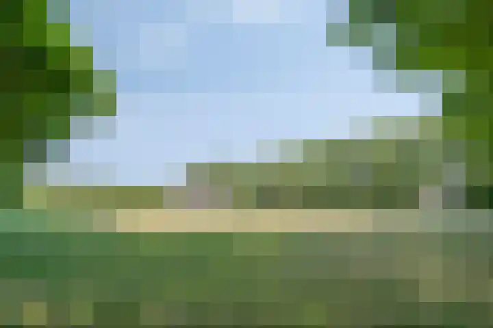 Tunnelweg 163 Wijchen thumbnail 27