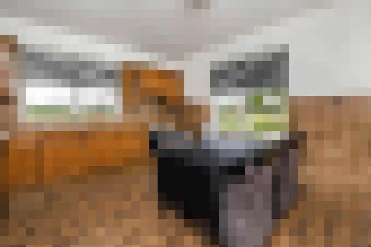 Tunnelweg 2 Haarle thumbnail 11