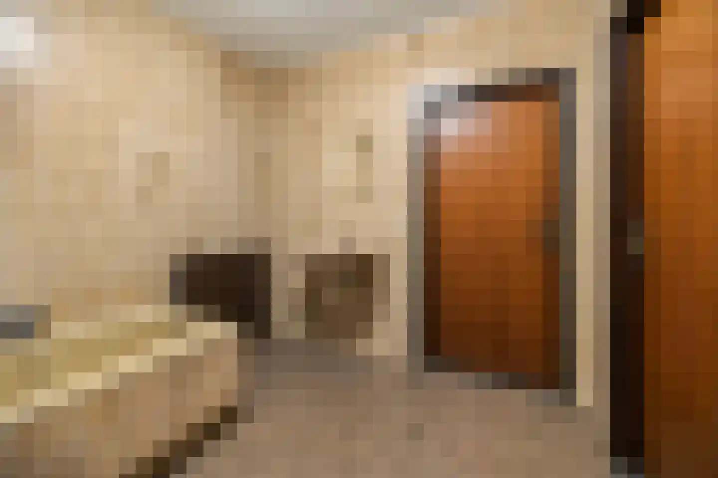 Tunnelweg 2 Haarle thumbnail 15