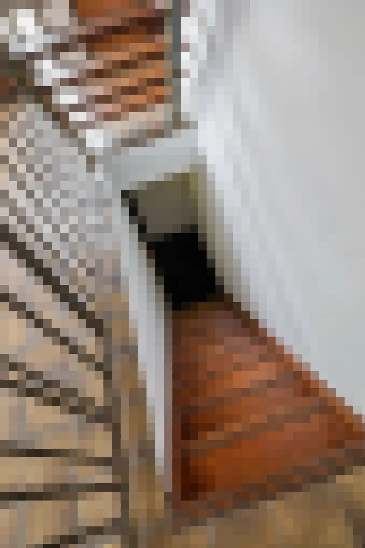 Tunnelweg 2 Haarle thumbnail 20