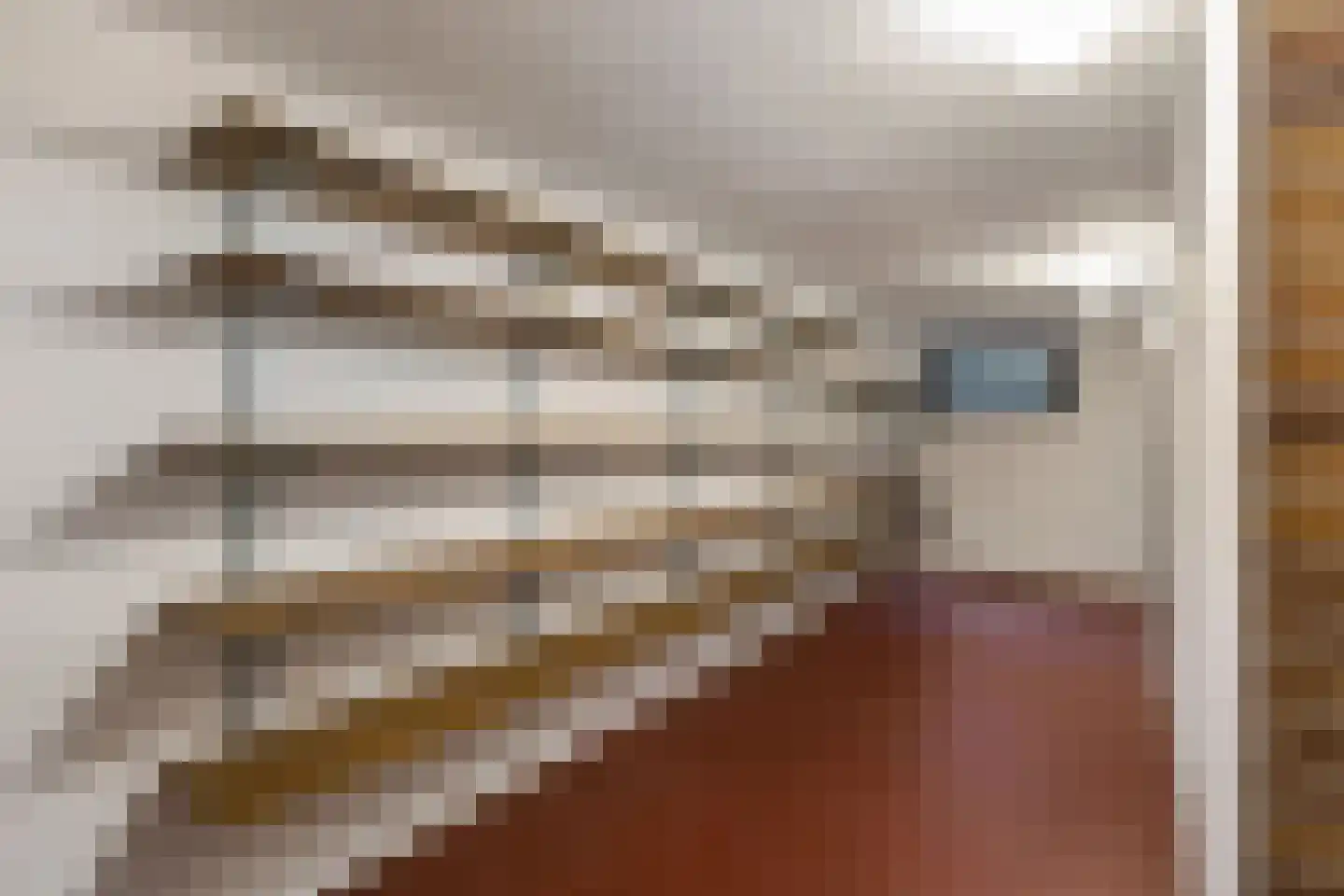 Tunnelweg 2 Haarle thumbnail 21