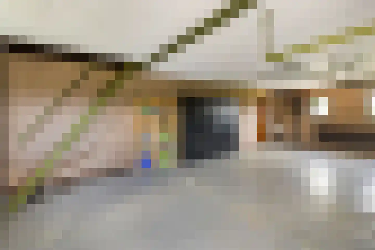 Tunnelweg 2 Haarle thumbnail 24