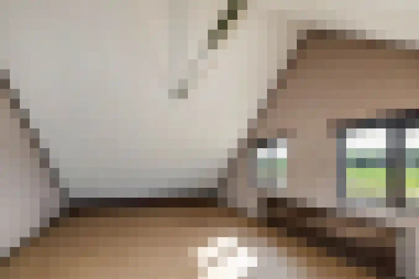 Tunnelweg 2 Haarle thumbnail 29
