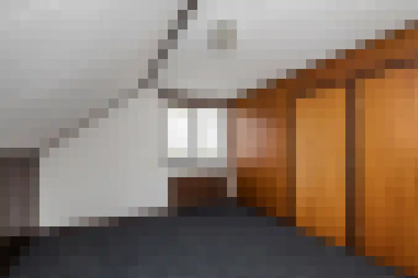 Tunnelweg 2 Haarle thumbnail 32