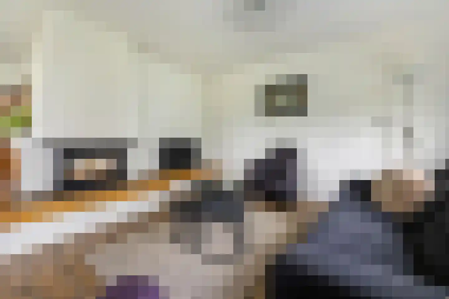 Tunnelweg 2 Haarle thumbnail 5