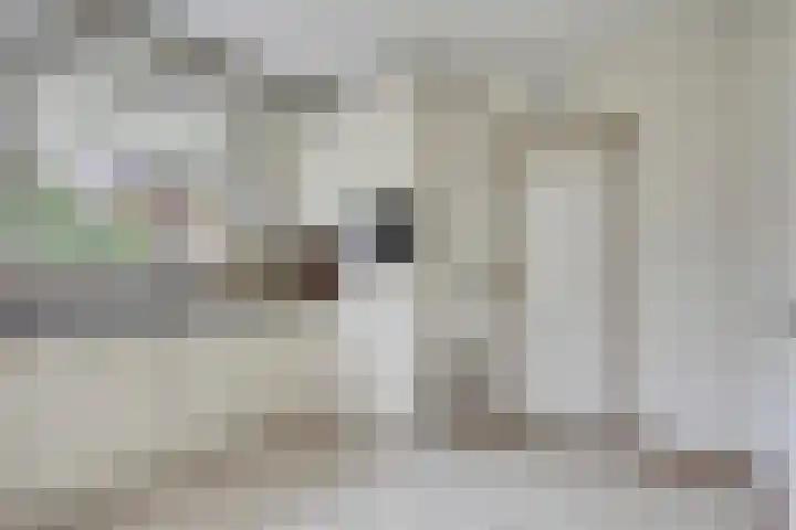 Tunnelweg 2 Wijchen thumbnail 12