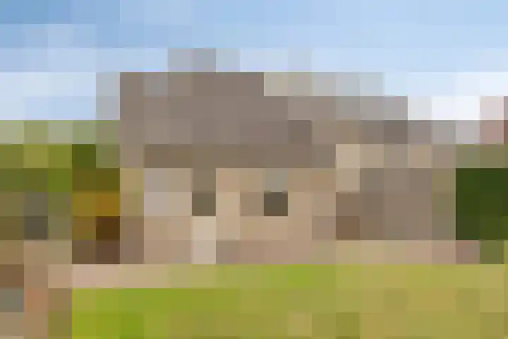 Tunnelweg 2 Wijchen thumbnail 40