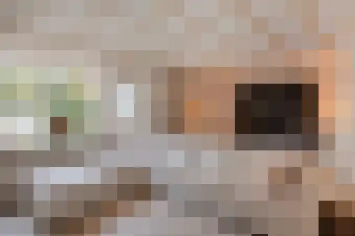 Tunnelweg 2 Wijchen thumbnail 6