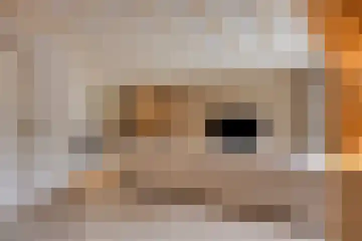 Tunnelweg 2 Wijchen thumbnail 8