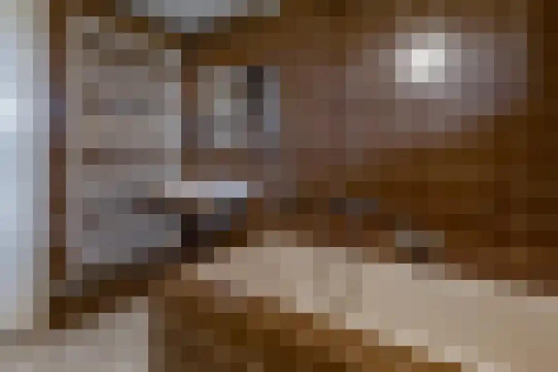 Tunnelweg 3 Haarle thumbnail 17