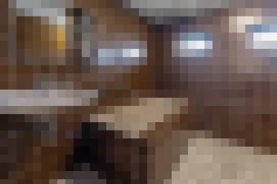 Tunnelweg 3 Haarle thumbnail 19