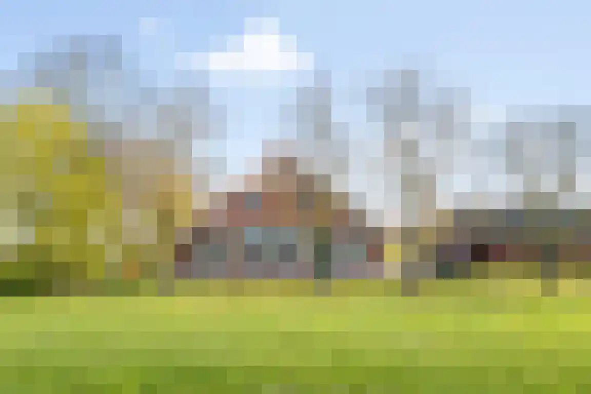 Tunnelweg 3 Haarle thumbnail 30