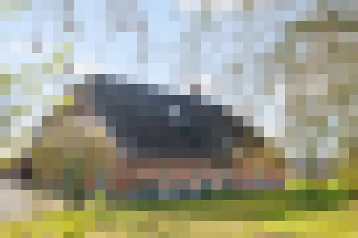 Tunnelweg 3 Haarle thumbnail 35