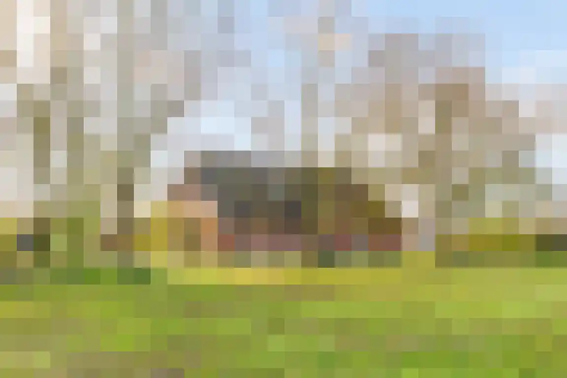 Tunnelweg 3 Haarle thumbnail 38