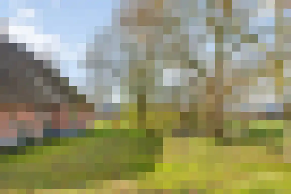 Tunnelweg 3 Haarle thumbnail 39