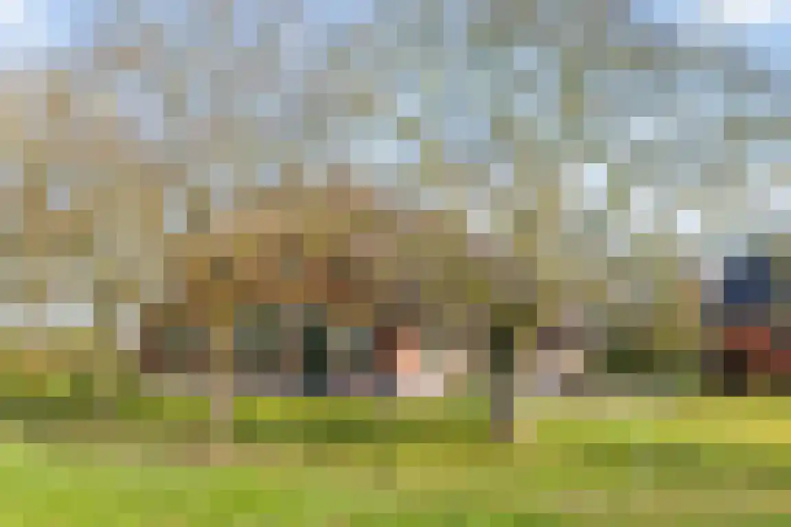 Tunnelweg 3 Haarle thumbnail 4
