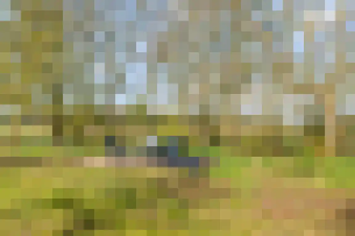 Tunnelweg 3 Haarle thumbnail 40