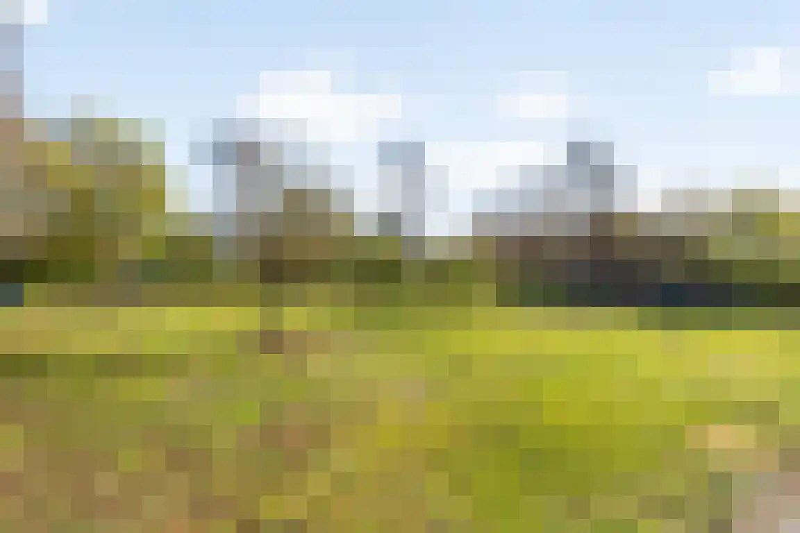 Tunnelweg 3 Haarle thumbnail 47