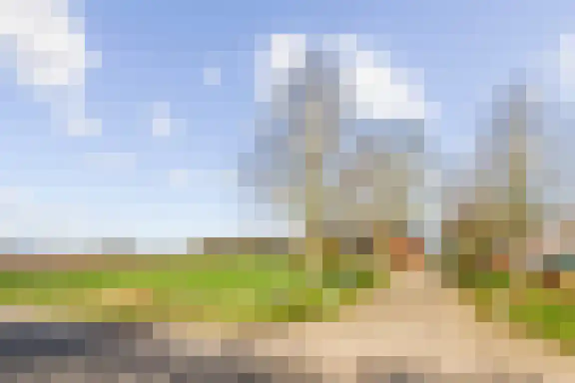 Tunnelweg 3 Haarle thumbnail 48